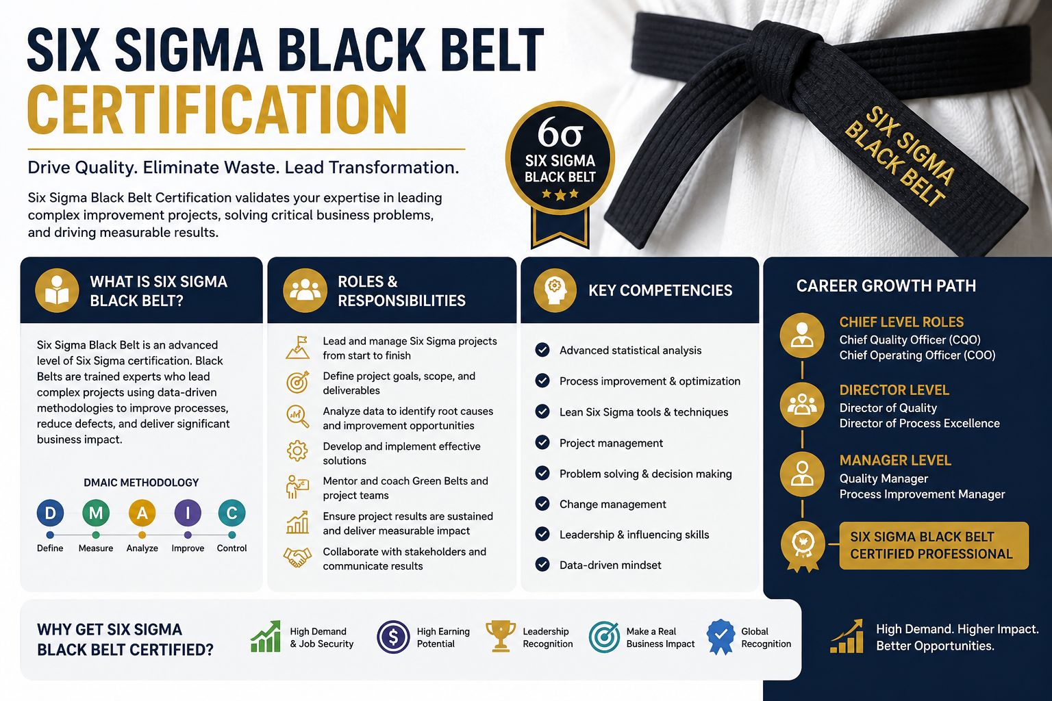 What is Six Sigma Black Belt Certification? Roles, Responsibilities & Career Growth